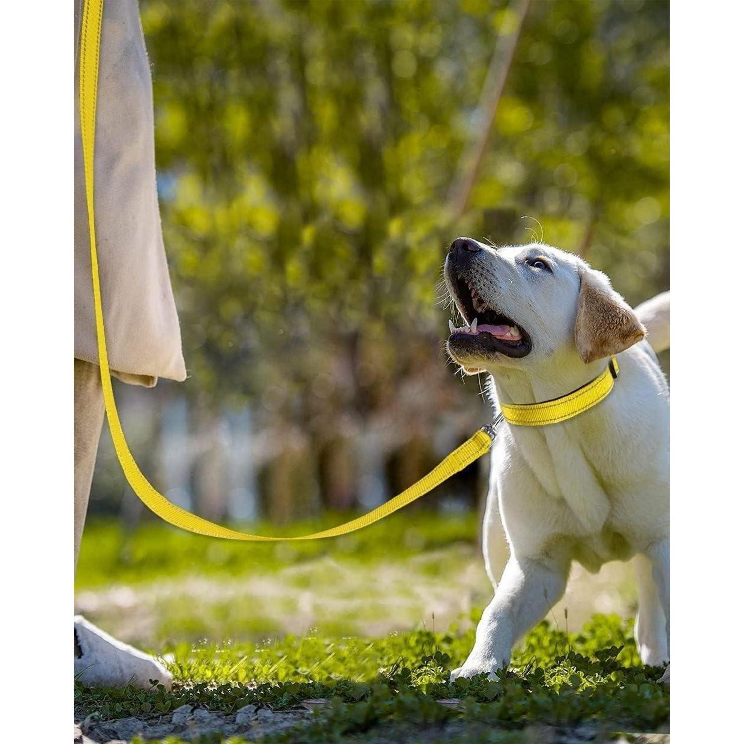 LuxusKollektion Hundeleine Hundeleine Reflektierend Nylon Gepolstert 150x2.5 cm (1er Pack) Gelb