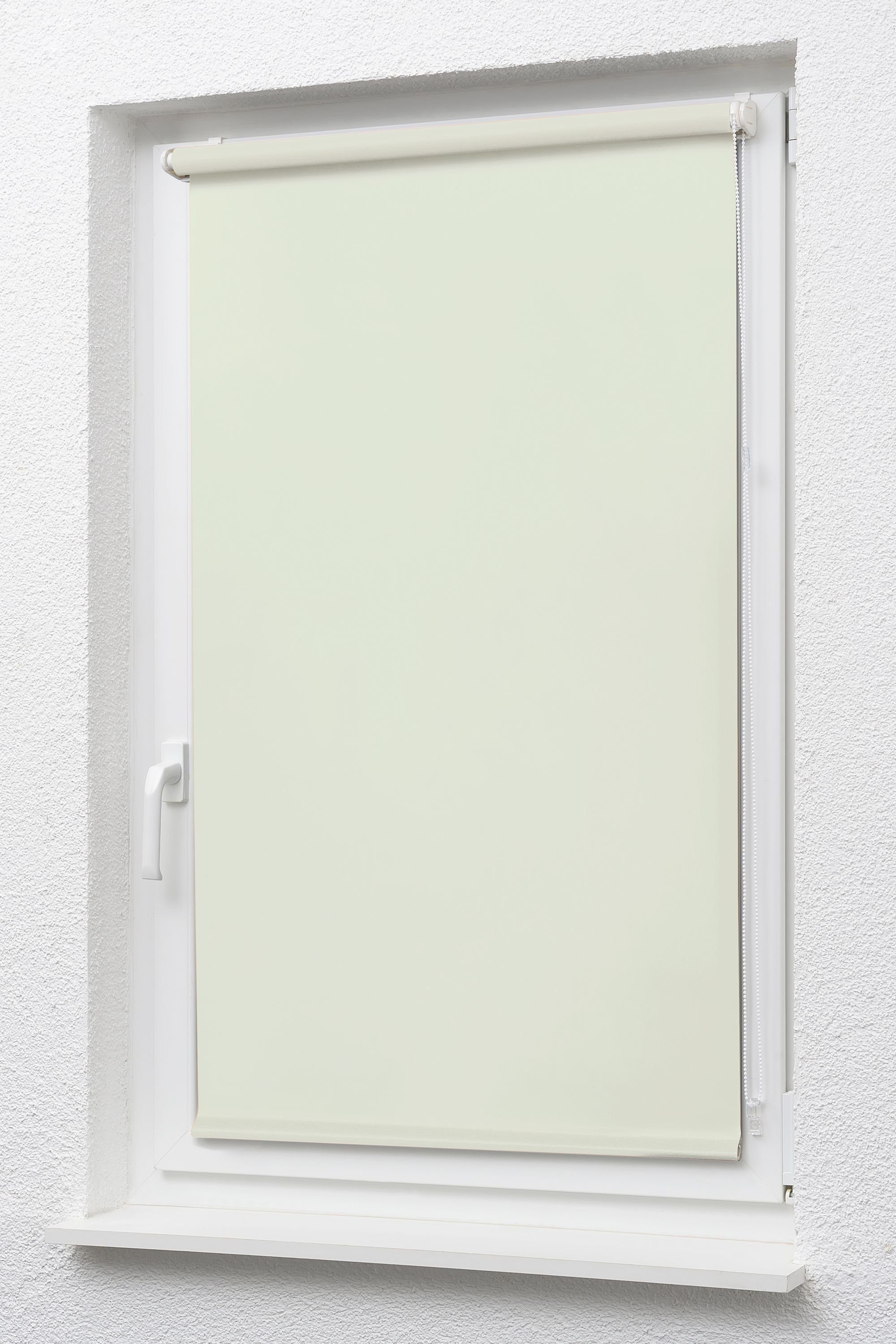 Rollo Mini Tageslicht Rohweiß, 175x83cm blickdicht, HxB LYSEL®