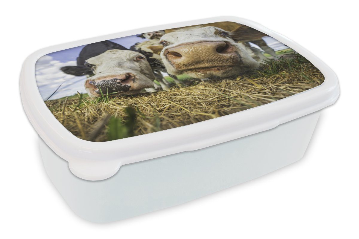 MuchoWow Lunchbox Kühe - Heu - Porträt, Kunststoff, (2-tlg), Brotbox für Kinder und Erwachsene, Brotdose, für Jungs und Mädchen weiß