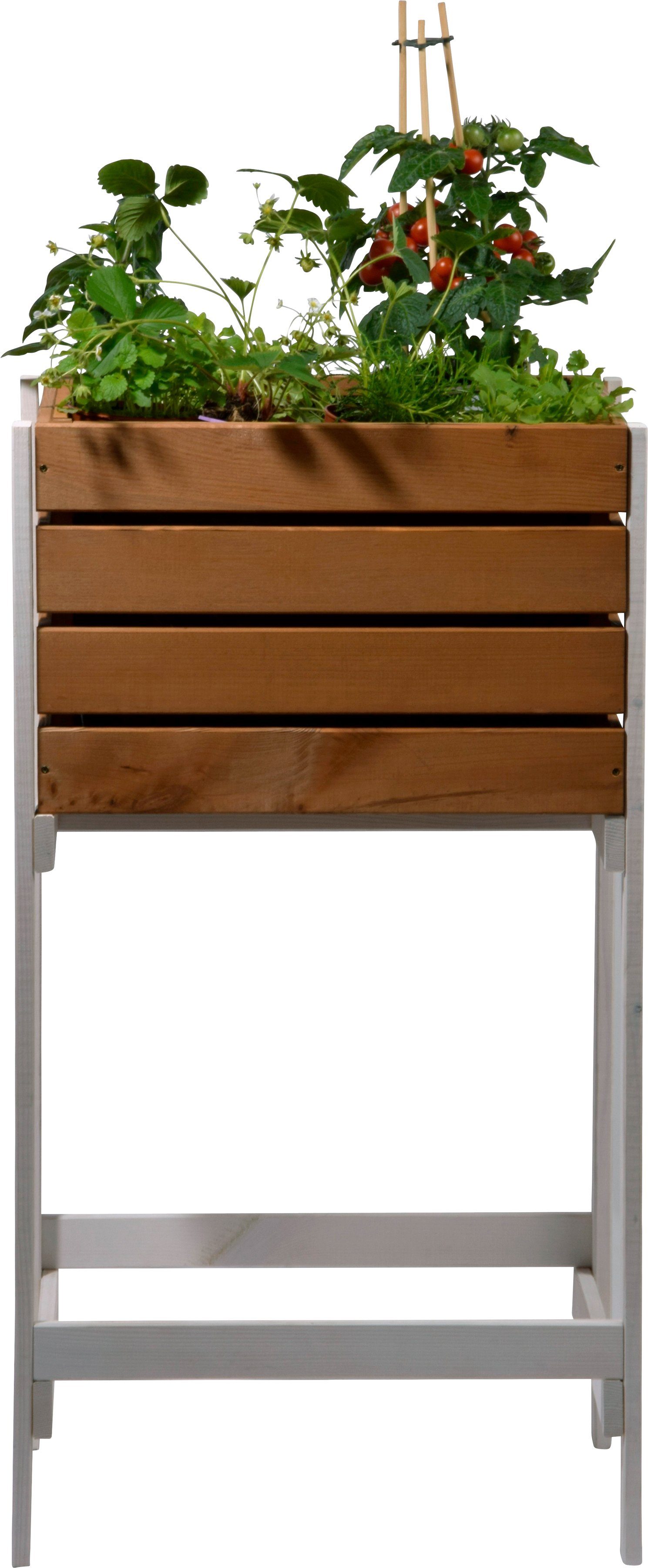 dobar Hochbeet Obstkiste, BxTxH: 49x42x90 cm