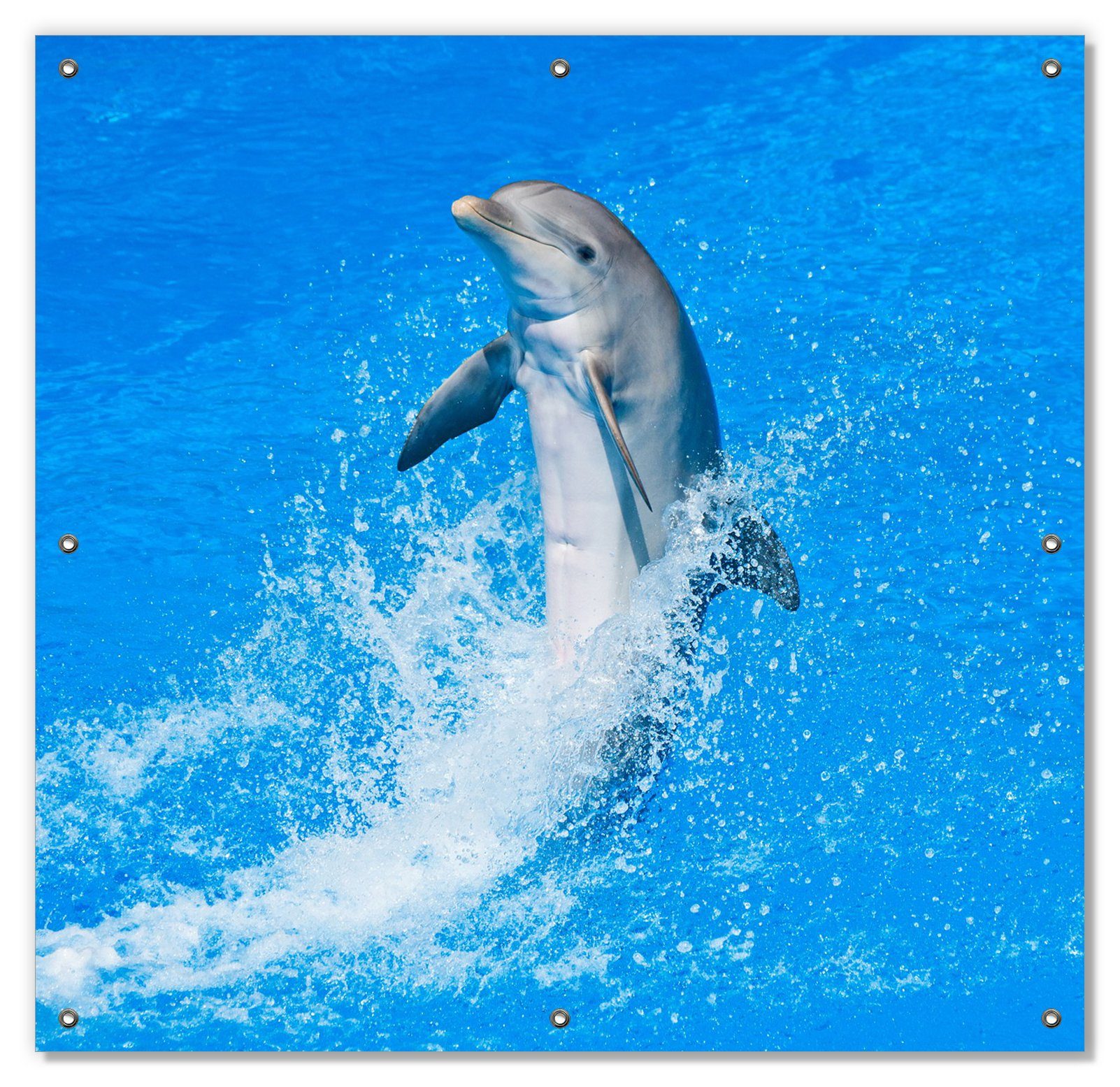 Sonnenschutz Fröhlicher Delfin im blauen Wasser, Wallario, blickdicht, mit Saugnäpfen, wiederablösbar und wiederverwendbar