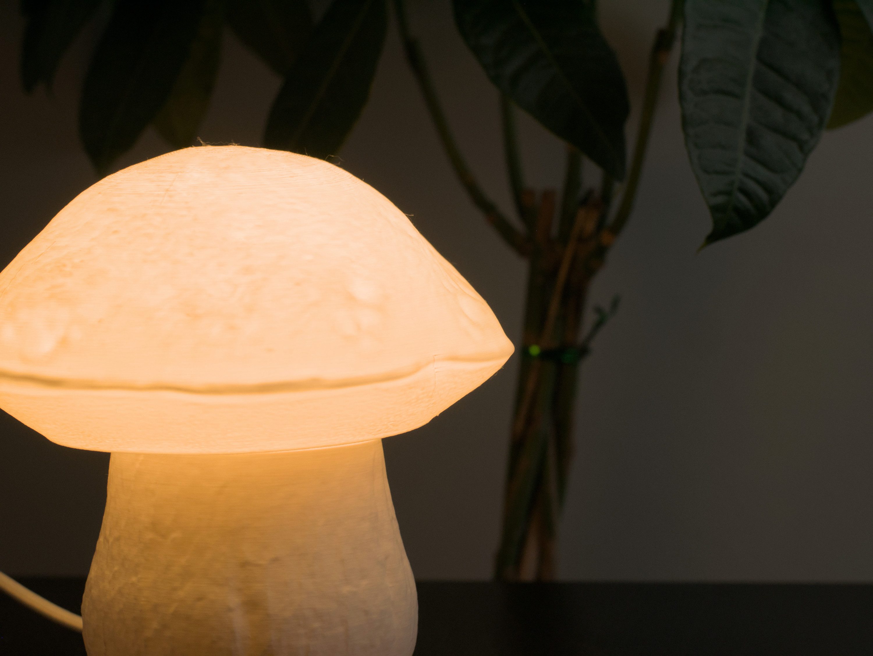 Roomberry Nachttischlampe Pilz Lampe: Gemeiner Steinpilz als Nachttischlampe, ohne Leuchtmittel, E14 Fassung