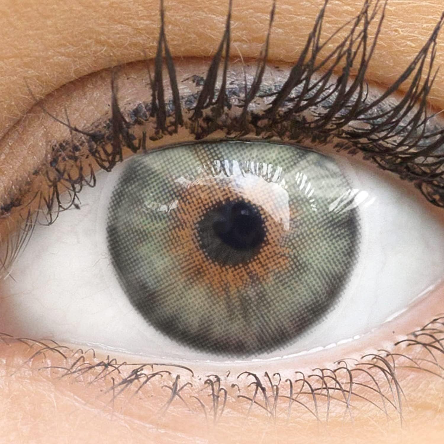 GLAMLENS Monatslinsen Sehr stark deckende und natürliche grüne Linsen "Lucca Green"