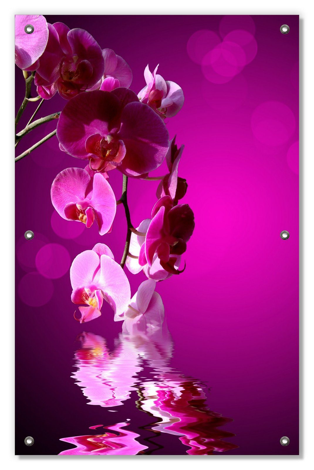 Sonnenschutz Rosafarbene Orchidee Blüten in pink, Wallario, blickdicht, mit Saugnäpfen, wiederablösbar und wiederverwendbar