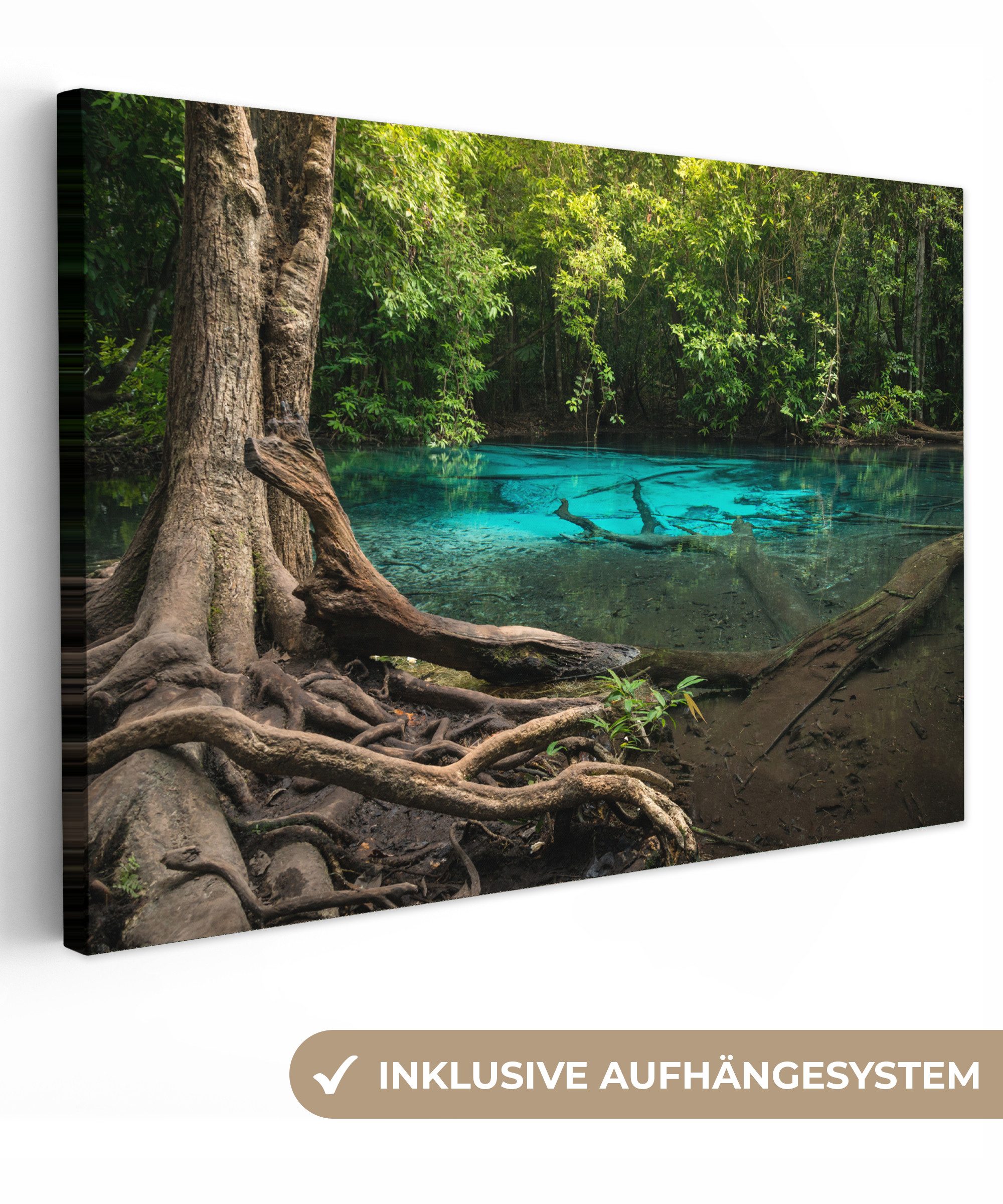 OneMillionCanvasses® Leinwandbild Leuchtend blauer Bach inmitten der Regenw günstig online kaufen