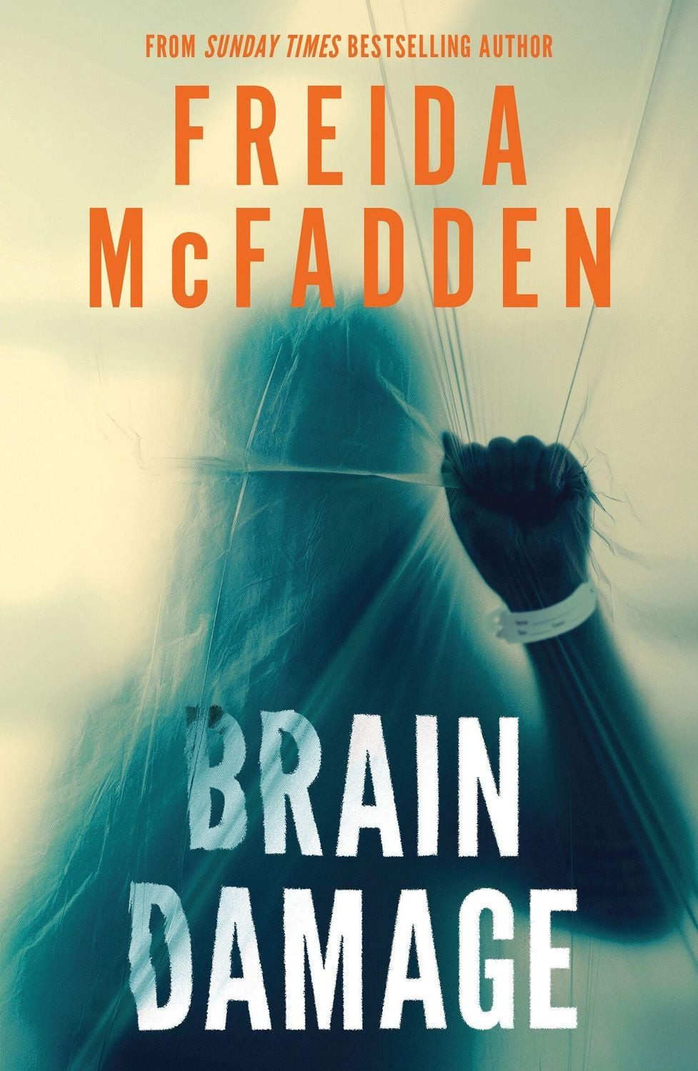 Brain Damage / Freida McFadden