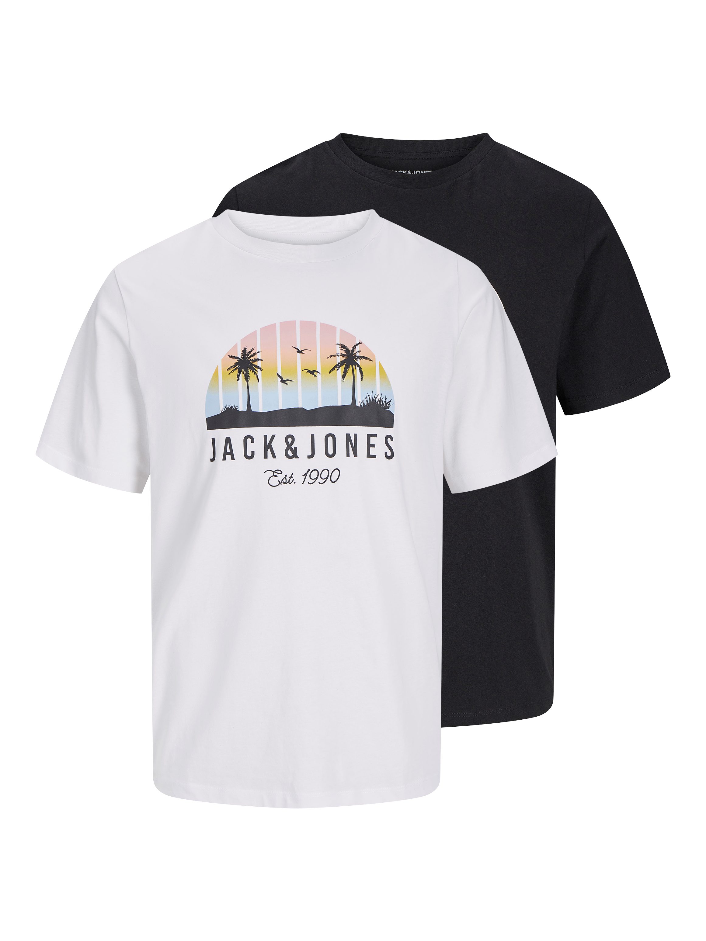 Jack & Jones Junior T-Shirt JJPALM TEE LS CREW NECK 2PK MP JNR (Packung, 2-tlg)