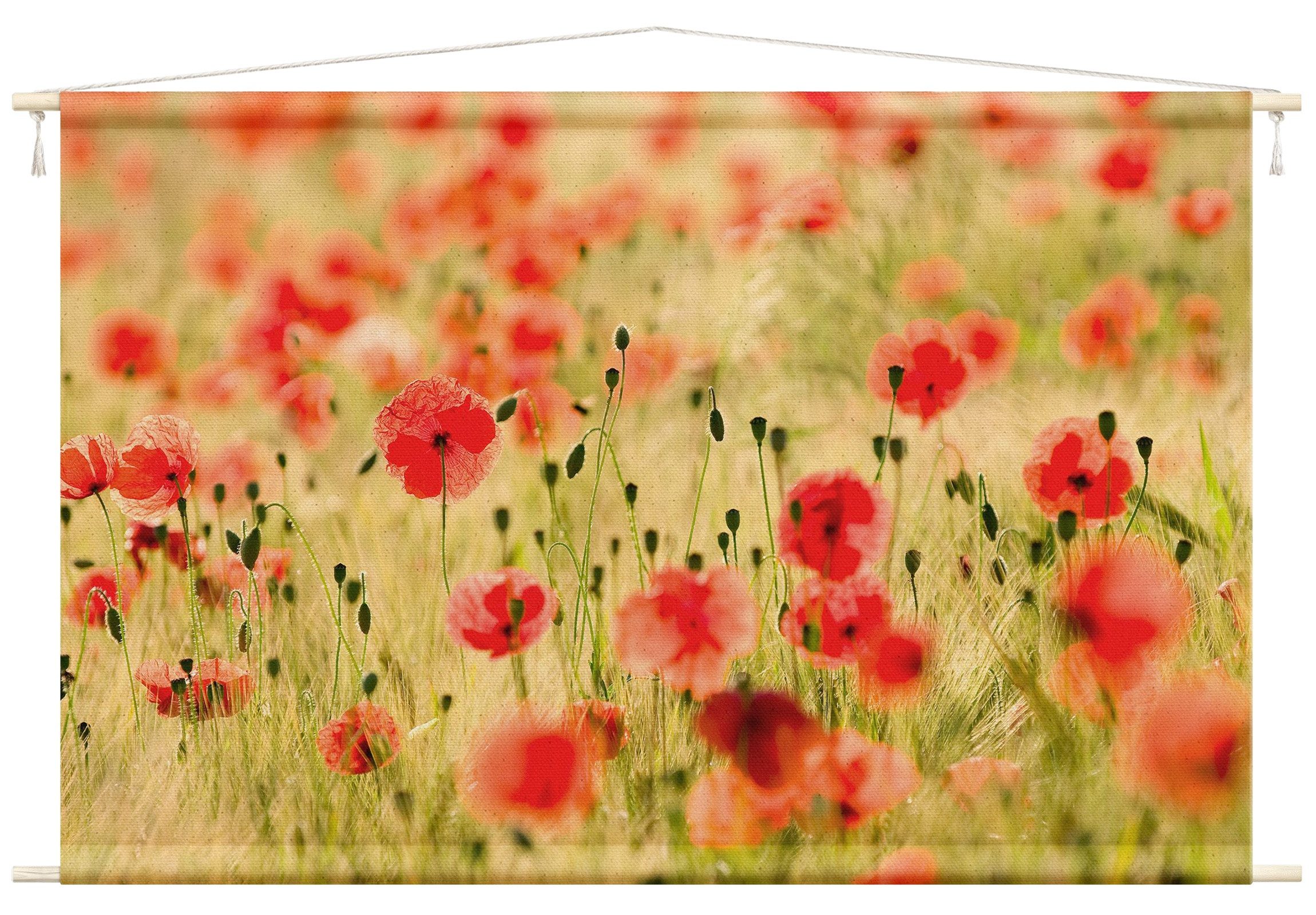 Bilderdepot24 Wandteppich modern Blumen Mohnblume grün, rechteckig, Höhe: 2.6 mm, großes Wandbild aus Natur-Baumwolle Wandbehang Stoffbild Tuch Wollseil