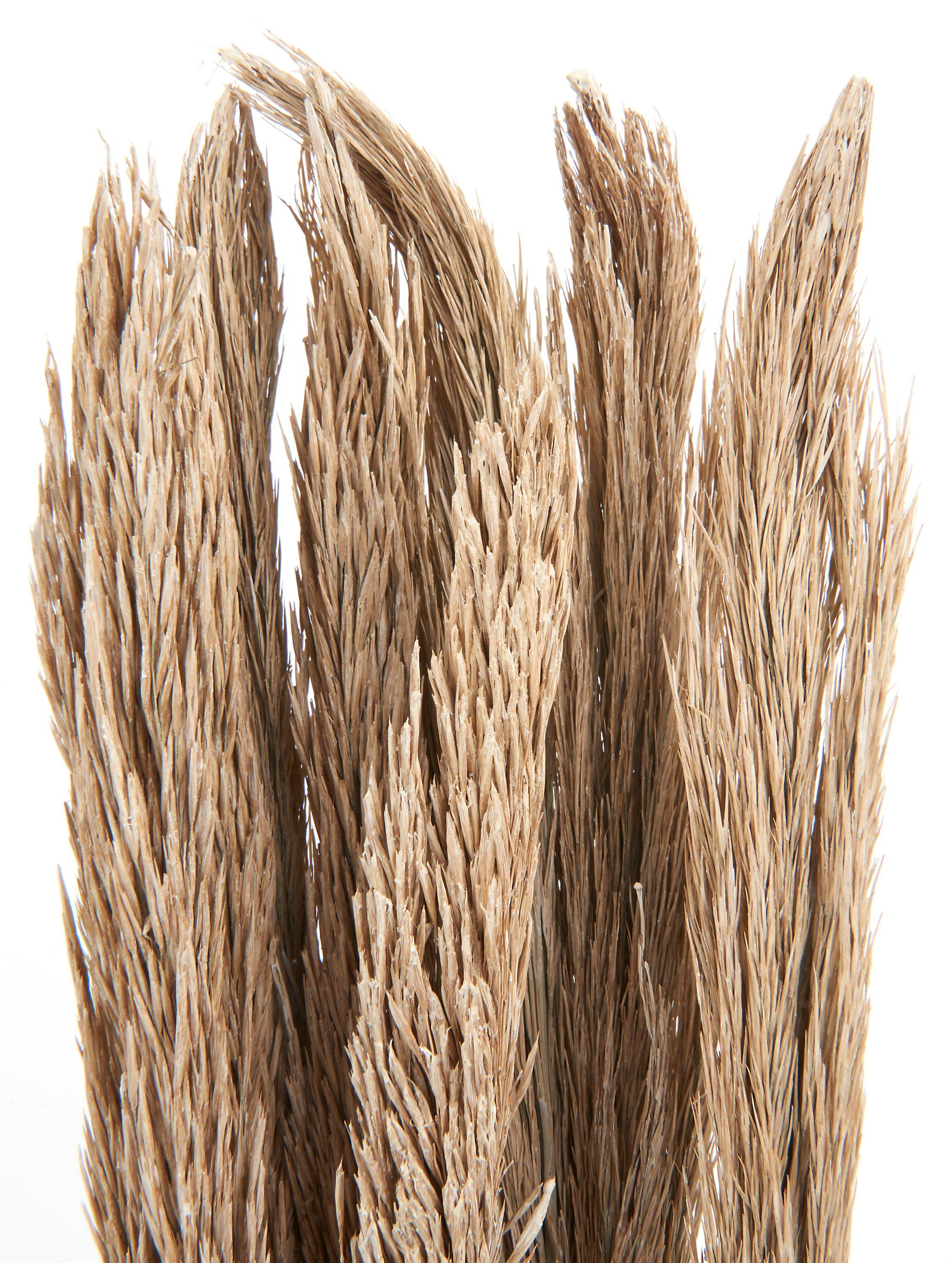 Kunstpflanze Sanmuga Grass, Othmar Decorations, 80 günstig online kaufen