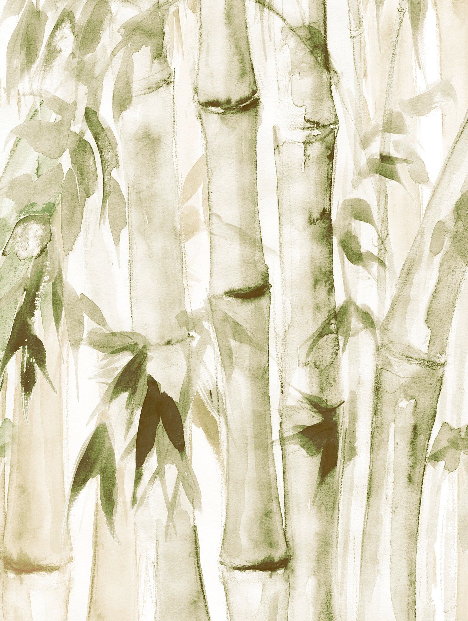 Komar Bild Wild Bamboo, Natur (1 St), Wandbild zur Dekoration - ohne Rahmen