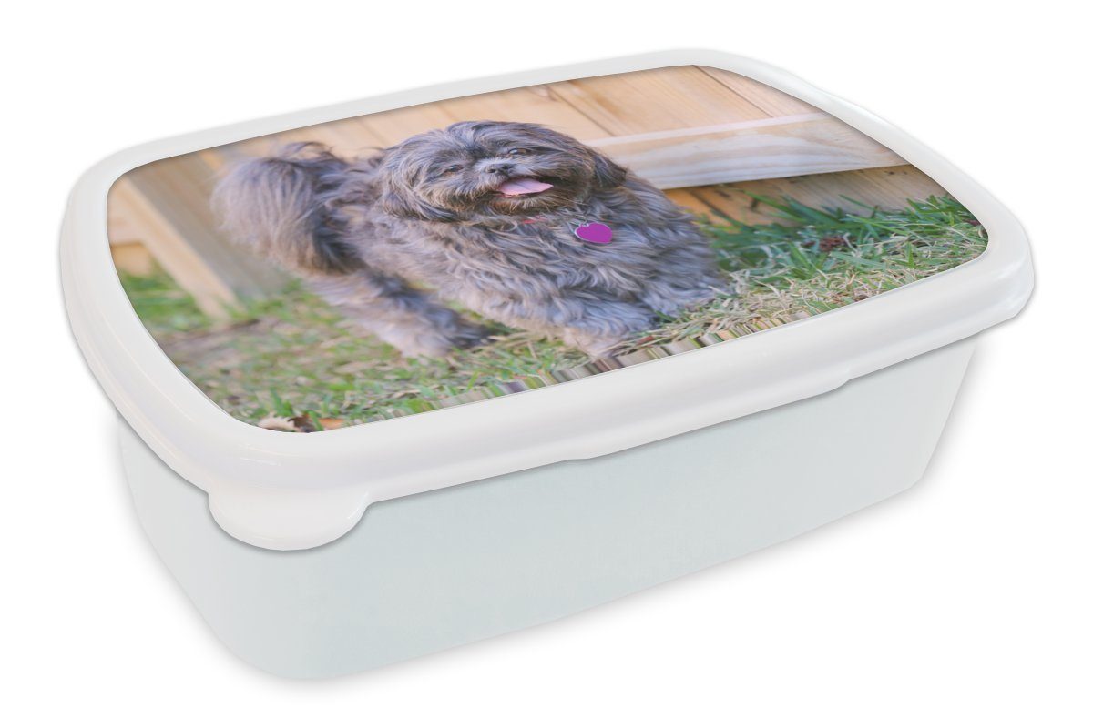 MuchoWow Lunchbox Ein schwarzer Shih Tzubi Hund am Zaun, Kunststoff, (2-tlg), Brotbox für Kinder und Erwachsene, Brotdose, für Jungs und Mädchen weiß