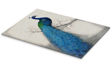 Posterlounge Acrylglasbild Tim O'Toole, Blauer Pfau I, Wohnzimmer Orientalisches Flair Malerei