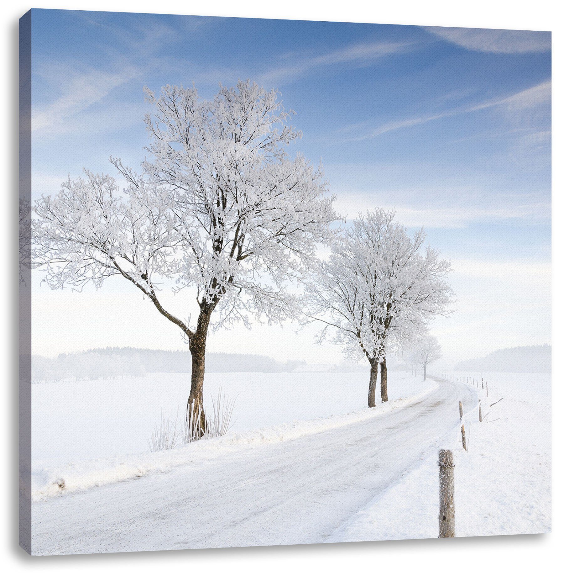 Pixxprint Leinwandbild Baum im Schnee, Leinwandbild im Zackenaufhänger fertig St), bespannt, inkl. Baum Schnee (1