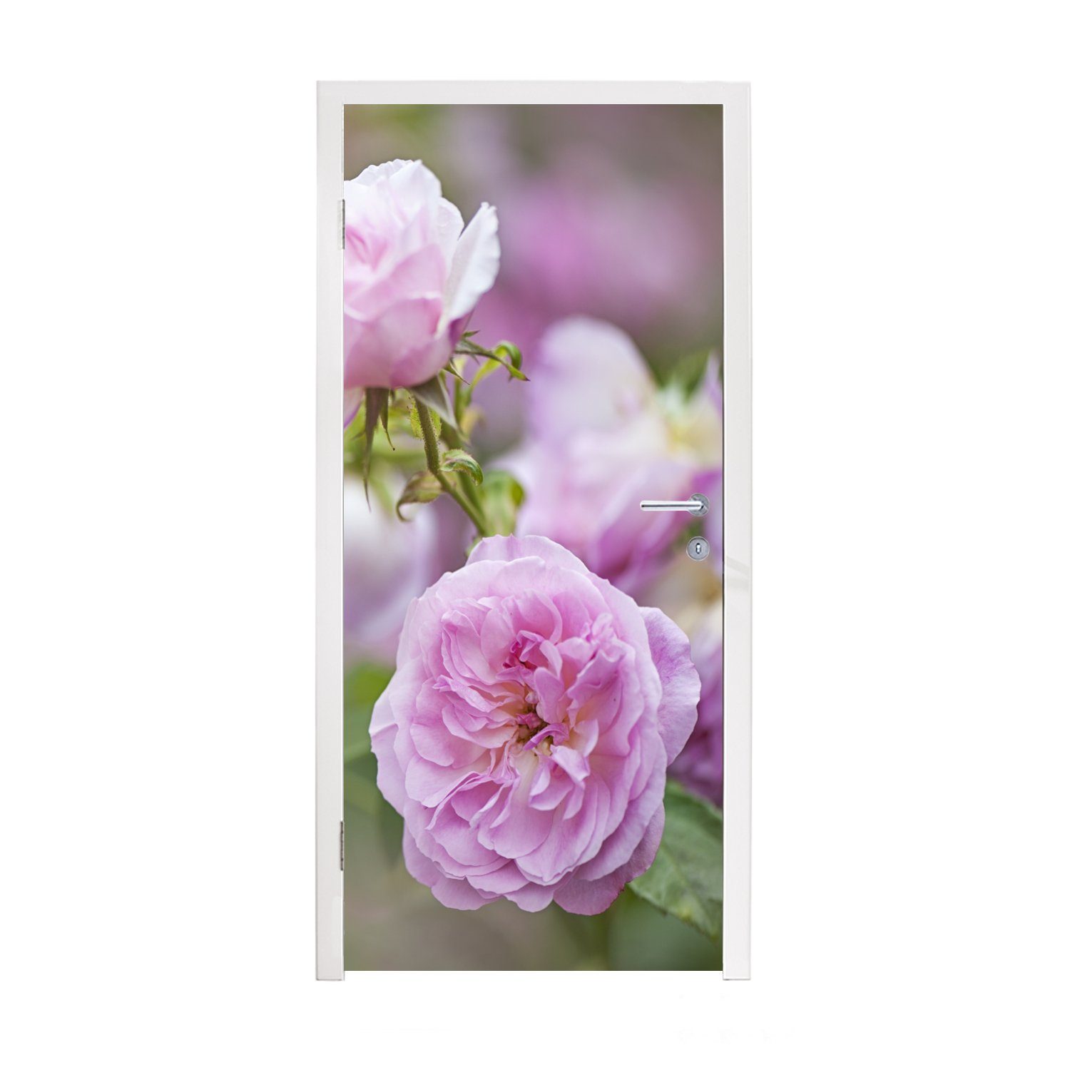 MuchoWow Türtapete Pflanzen von rosa Rosen wachsen in der Natur, Matt, bedruckt, (1 St), Fototapete für Tür, Türaufkleber, 75x205 cm
