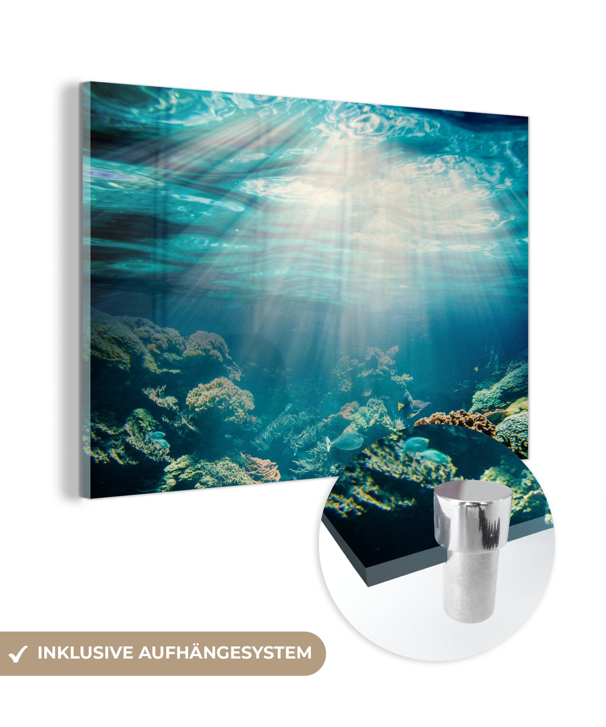 auf Koralle auf Bilder Sonne, Foto - (1 - Glas Wanddekoration - Glasbilder Meer Wandbild Glas Acrylglasbild St), MuchoWow - -