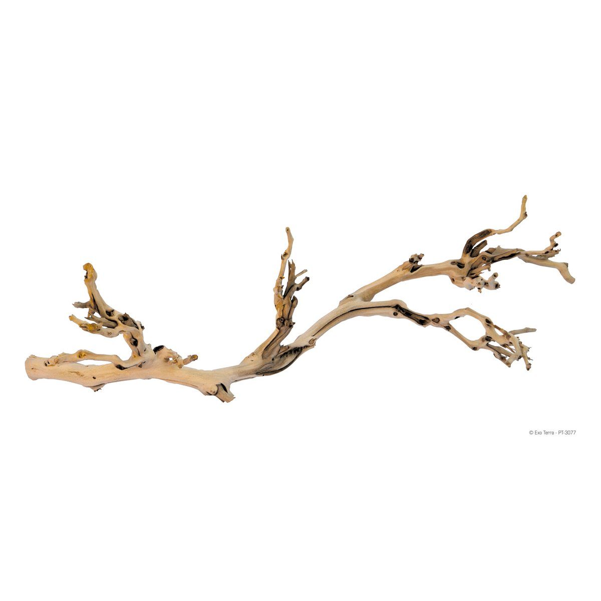 Terrariendeko Forest Branch - sandgestrahlte Äste