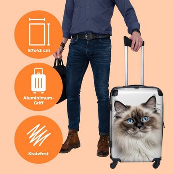 NoBoringSuitcases.com© Koffer Katze - Haustier - Ragdoll 67x43x25cm, 4 Rollen, Mittelgroßer Koffer für Erwachsene, Reisekoffer