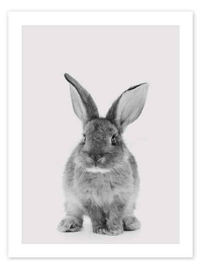 Posterlounge Poster Animal Kids Collection, Kuscheliger Hase, Kinderzimmer Skandinavisch Fotografie