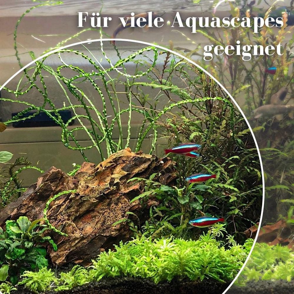 Aquaone Aquarium Aquarium Natursteine Drachensteine 10kg Mix Größe S bis XL