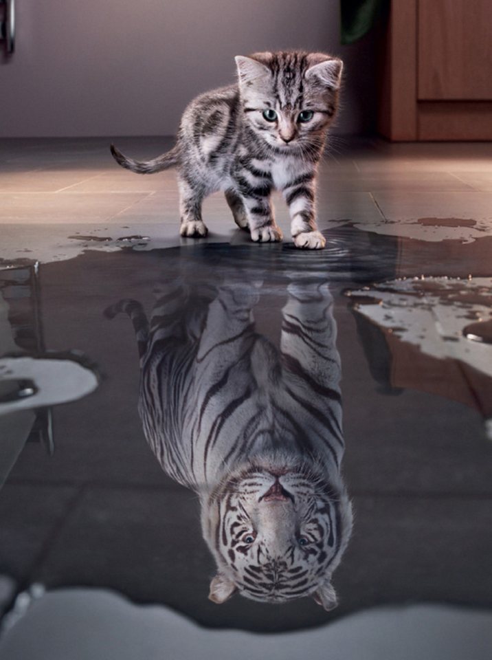 Thumbnail - LA CUTE Malen nach Zahlen 5d Diamond Painting Tiger Katze Malen nach Zahlen 40x50cm (Komplettset für 5D Diamond Painting...