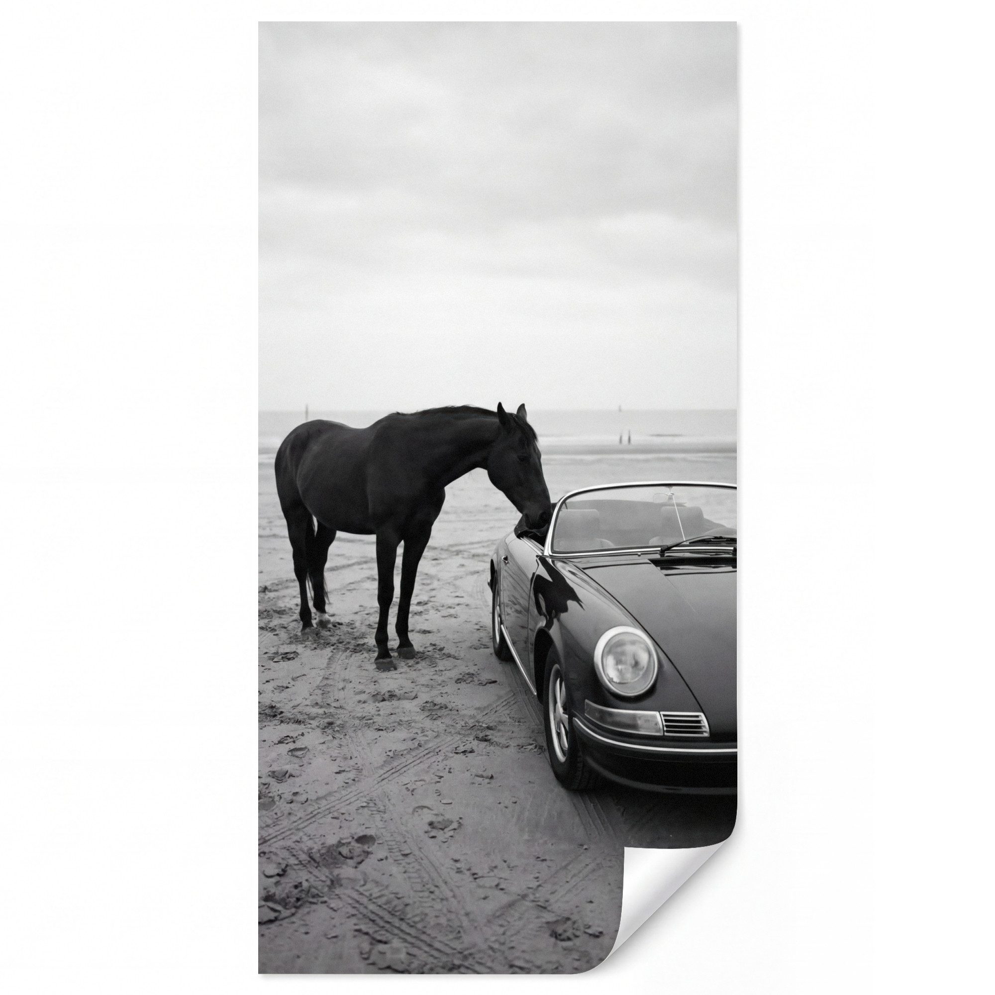OnlyWow Fototapete Pferd - Auto - Schwarz - Weiß, Matt, bedruckt, Wandtapete, Wanddekoration, Vinyl Tapete 100x220cm