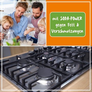 poliboy 99A1301, 2er Bioreiniger mit Leder Probe Küchenreiniger (Aktive und kraftvolle Reinigung für die ganze Küche - Made in Germany)