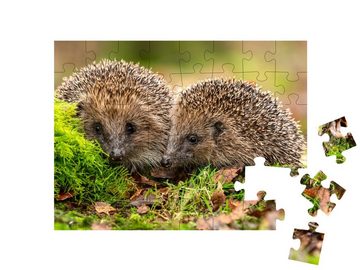 puzzleYOU Puzzle Zwei Igel kuscheln im Moos und Laub, 48 Puzzleteile, puzzleYOU-Kollektionen Igel, Tiere in Wald & Gebirge
