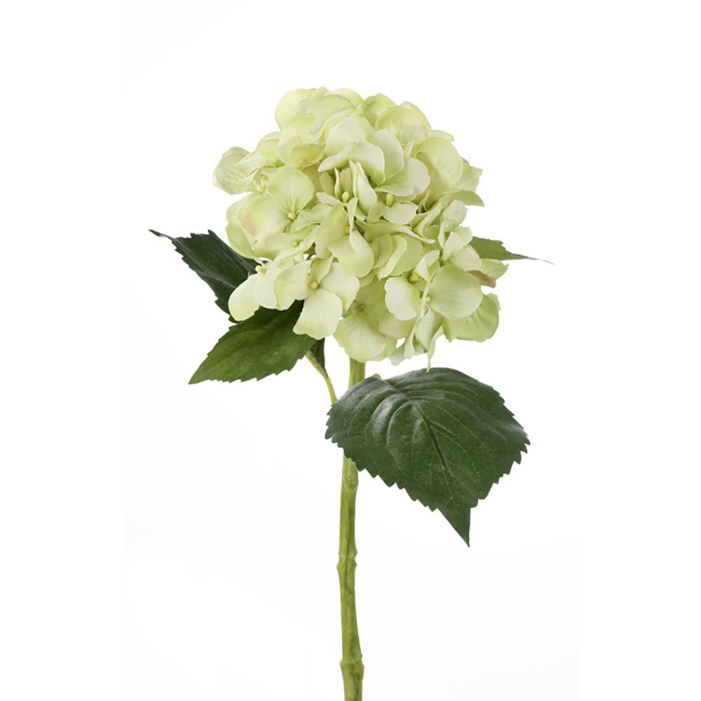 Kunstpflanze FINK Kunstblume Hortensie - hellgrün - H. 48cm x B. 26cm, Fink