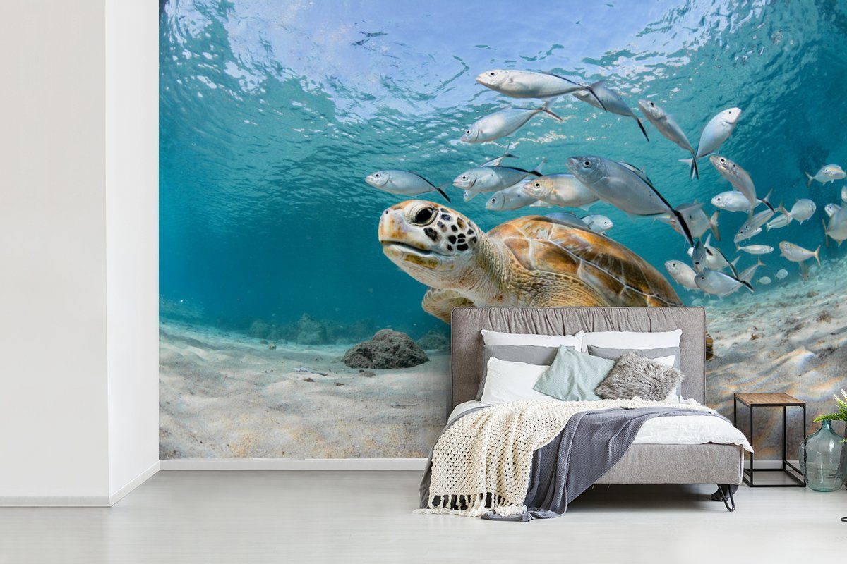 St), Tapete Meer, Schlafzimmer, Matt, MuchoWow Fisch Fototapete bedruckt, - Wallpaper - Wohnzimmer, Vinyl (6 für Schildkröte Kinderzimmer,