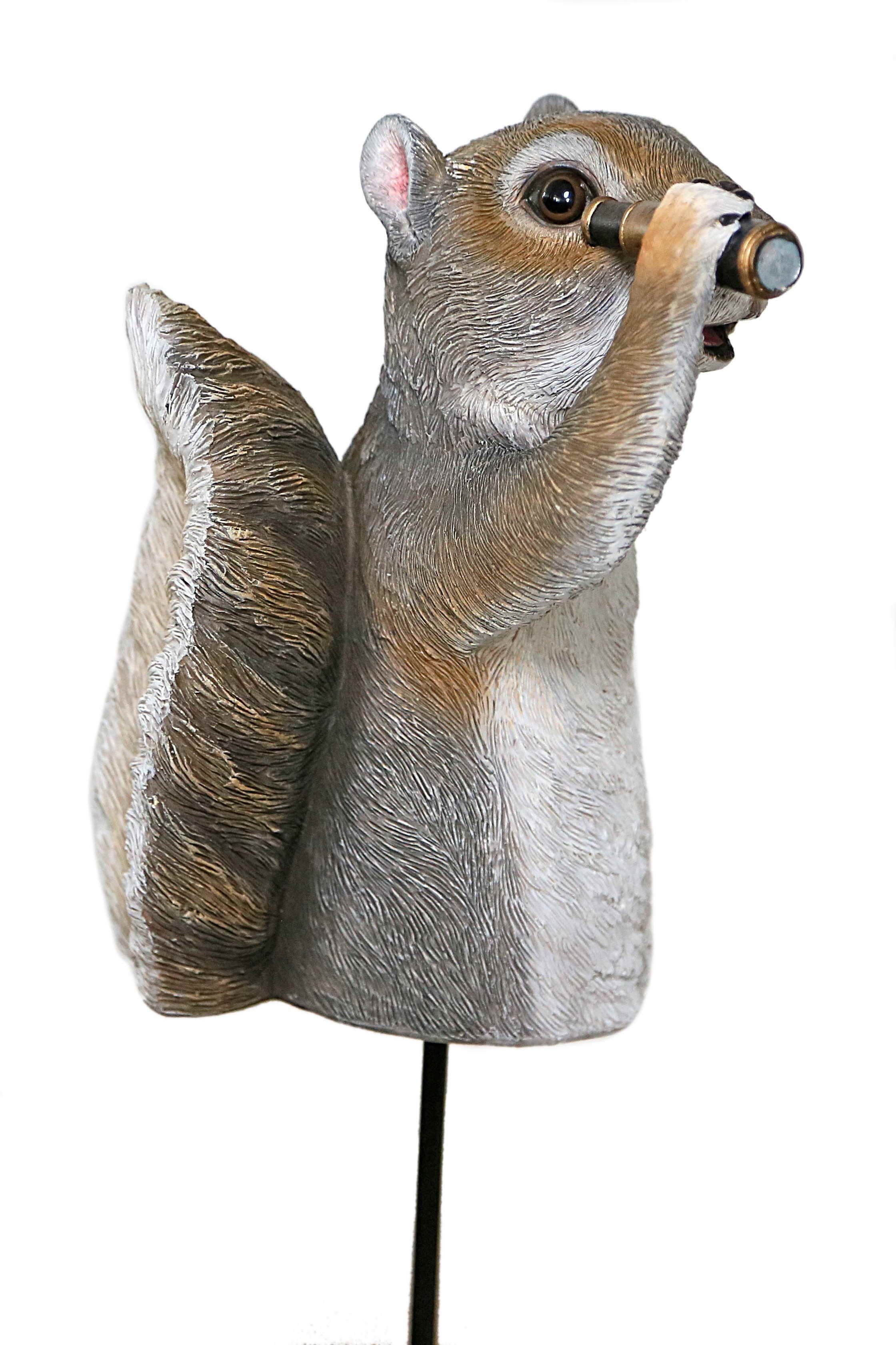 Casa Collection by Jänig Tierfigur Eichhörnchen mit Teleskop und (Gartenstecker), Tierfigur, Eichhörnchen