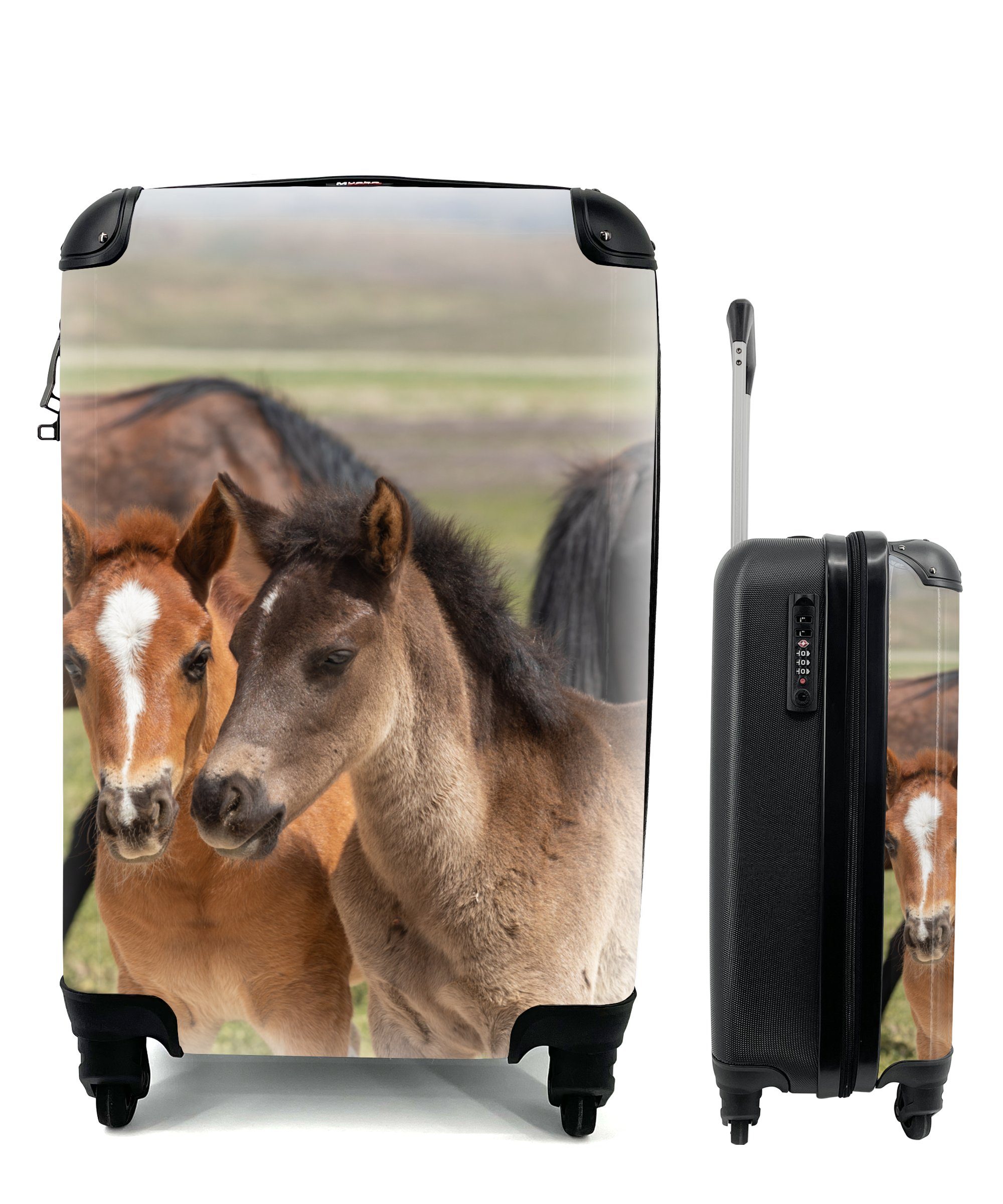 Rollen, Trolley, Reisekoffer Wiese, rollen, Ferien, Reisetasche Vlies - Handgepäckkoffer Pferde mit für MuchoWow - - Handgepäck 4 Tiere