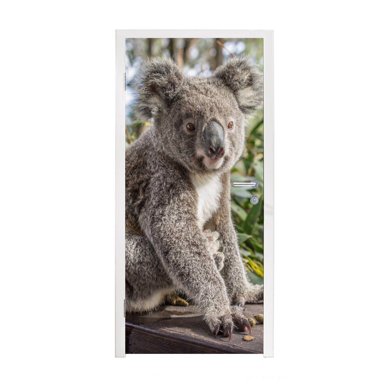 MuchoWow Türtapete Koala - Holz - Pflanzen - Kinder - Jungen - Mädchen, Matt, bedruckt, (1 St), Fototapete für Tür, Türaufkleber, 75x205 cm