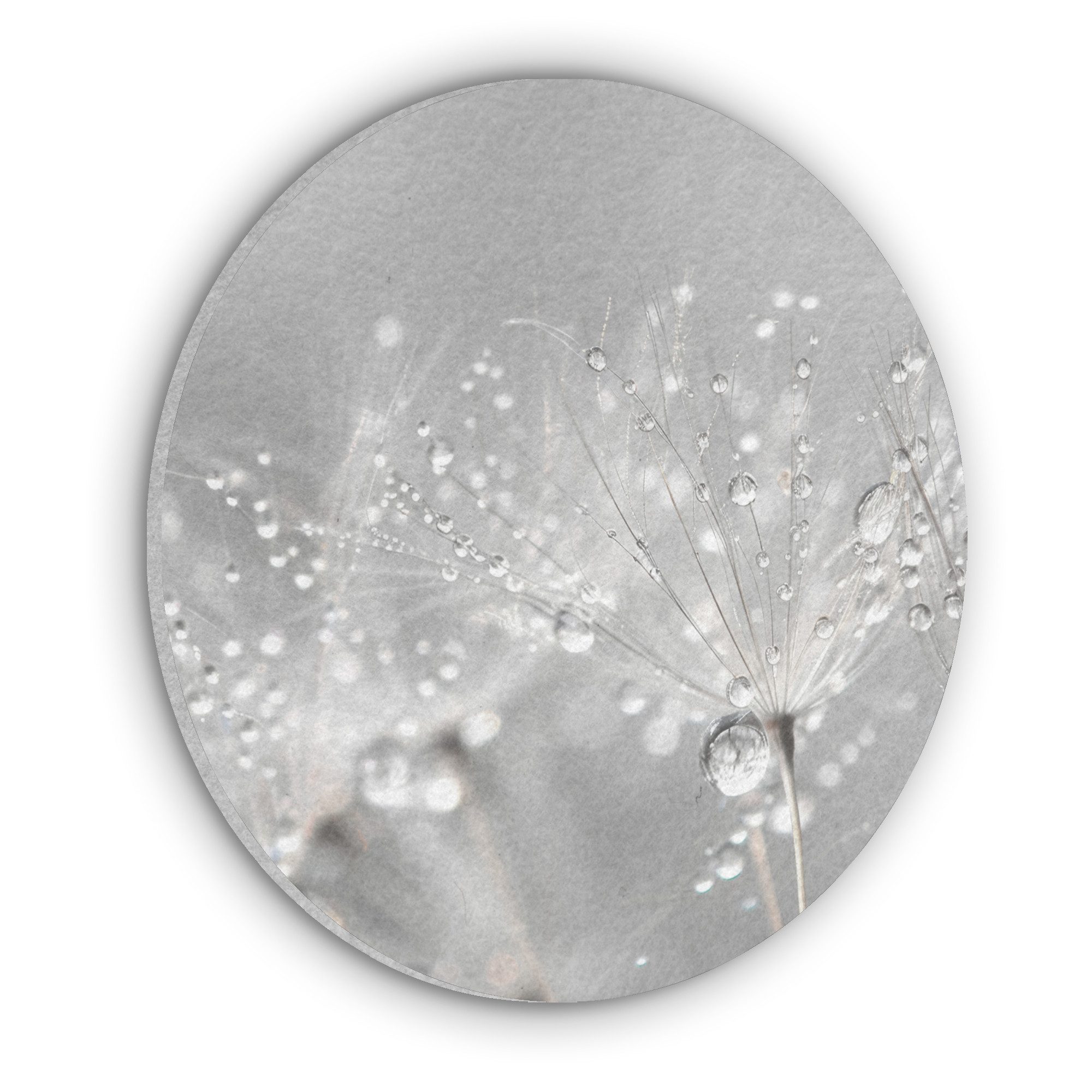 MuchoWow Gemälde Löwenzahn - Wassertropfen - Stilleben - Modern, Fotodruck günstig online kaufen