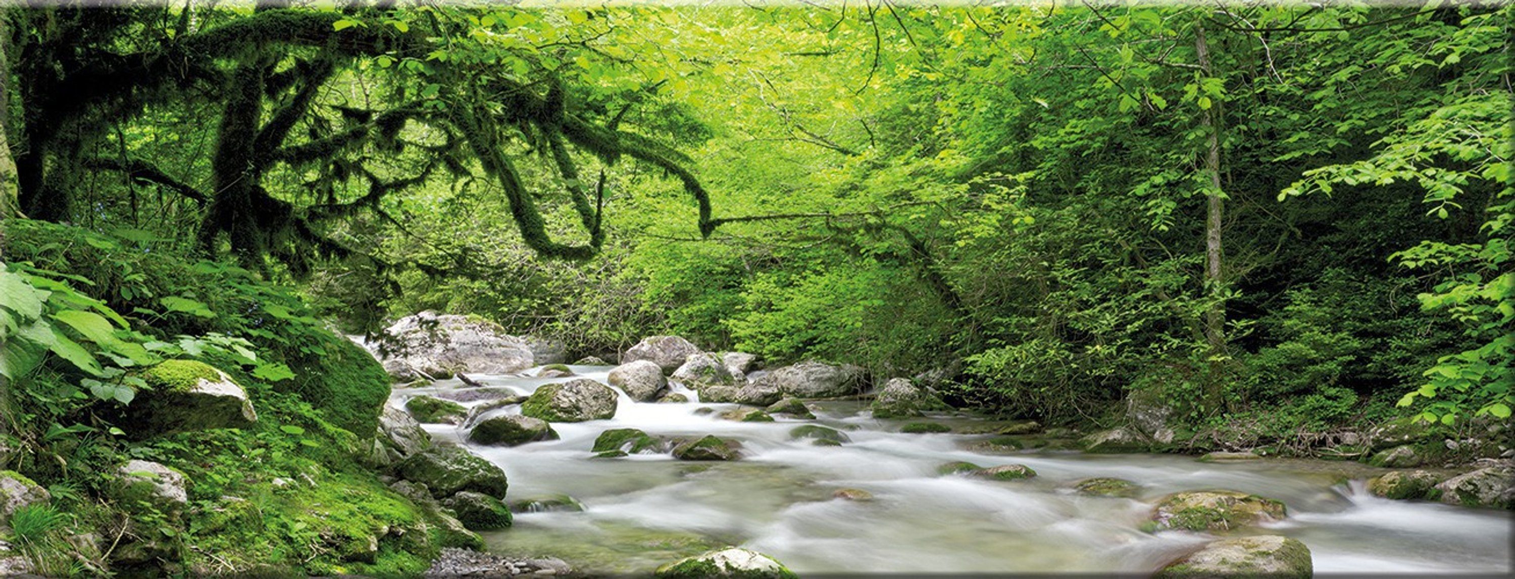 Glasbild Wald Glasbild Glas 80x30cm Bild aus grün, Wald und Bachlauf artissimo Landschaft Bäume: