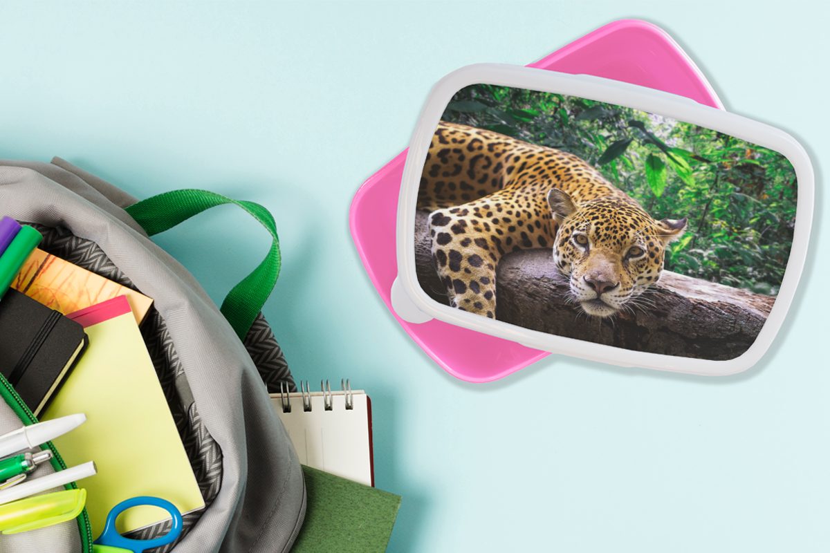 Kunststoff, Brotbox Jaguar (2-tlg), Snackbox, Lunchbox ruht, Kunststoff Mädchen, rosa Brotdose Kinder, MuchoWow für Erwachsene,