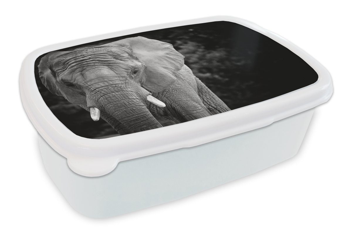 MuchoWow Lunchbox Porträt eines Elefanten in Schwarz und Weiß, Kunststoff, (2-tlg), Brotbox für Kinder und Erwachsene, Brotdose, für Jungs und Mädchen