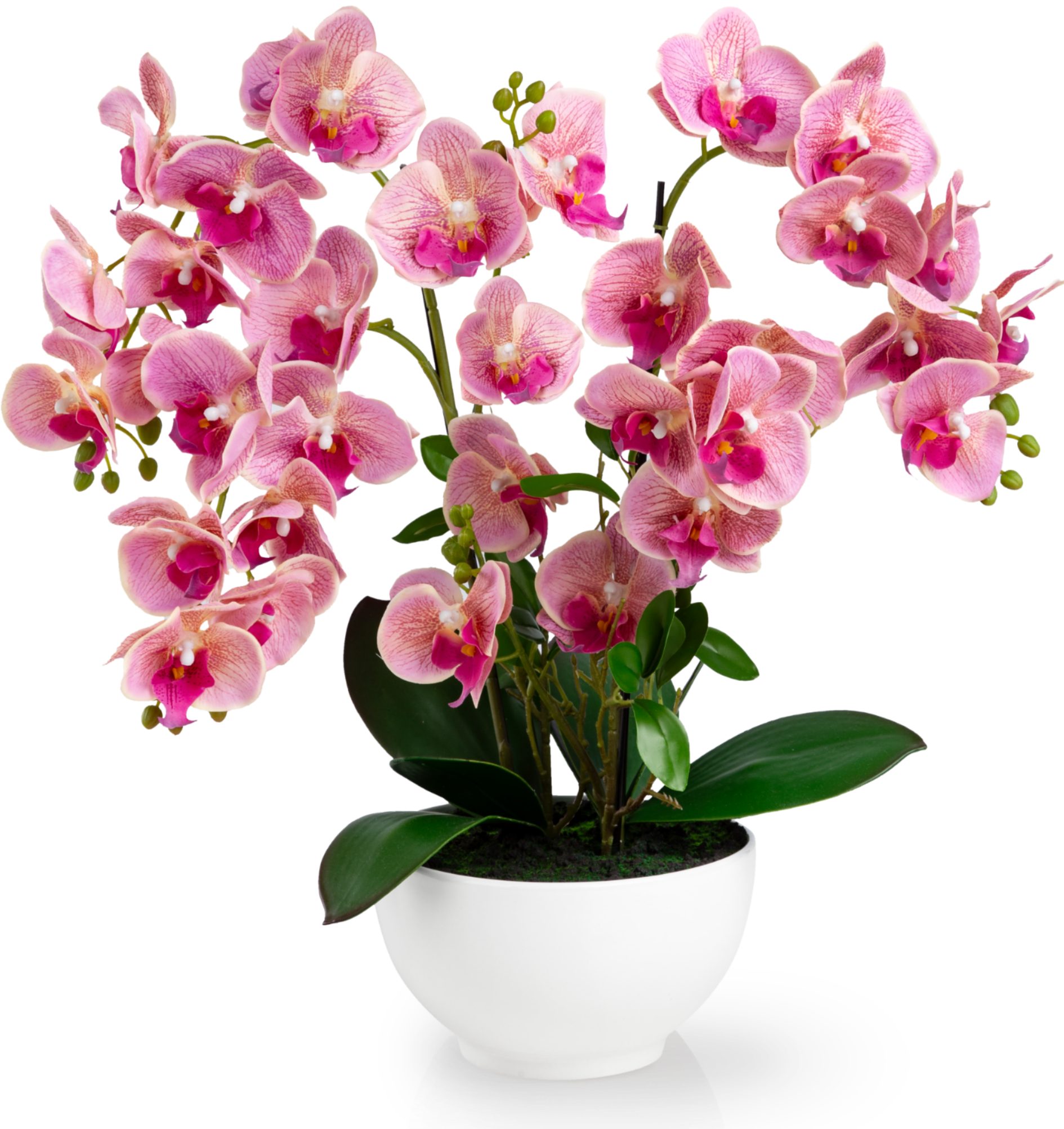 Kunstorchidee PASCH® XXL Orchidee künstlich wie echt (56cm) in Hochglanz-Keramiktopf Orchidee, PASCH