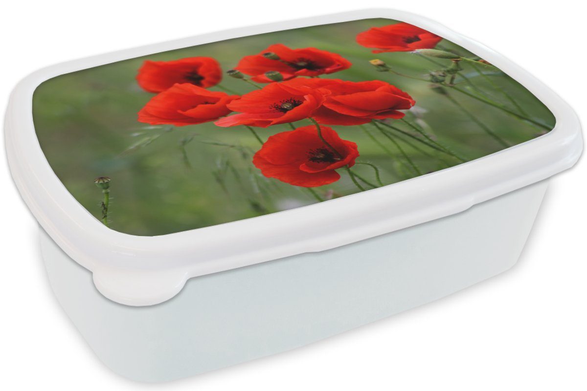Blumen Brotbox (2-tlg), Kunststoff, und für Mädchen Lunchbox Erwachsene, und Kinder MuchoWow Brotdose, - Mohn Jungs weiß Rot, - für