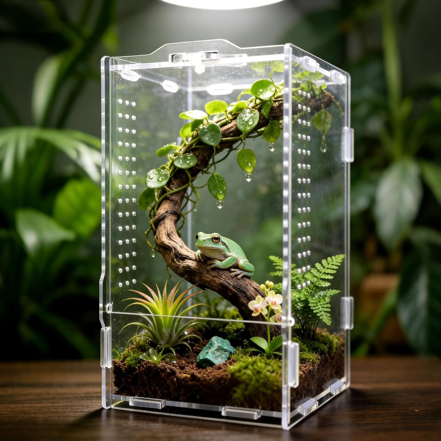 FELIXLEO Terrarium Faunarium Acryl Terrarium für Reptilien Amphibien Insekten 12x11x20