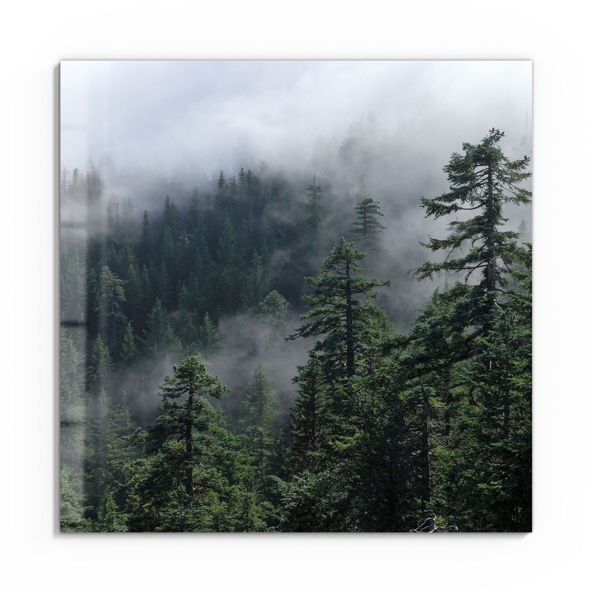 DEQORI Glasbild 'Tannenspitzen im Nebel', 'Tannenspitzen im Nebel', Glas Wandbild Bild schwebend modern