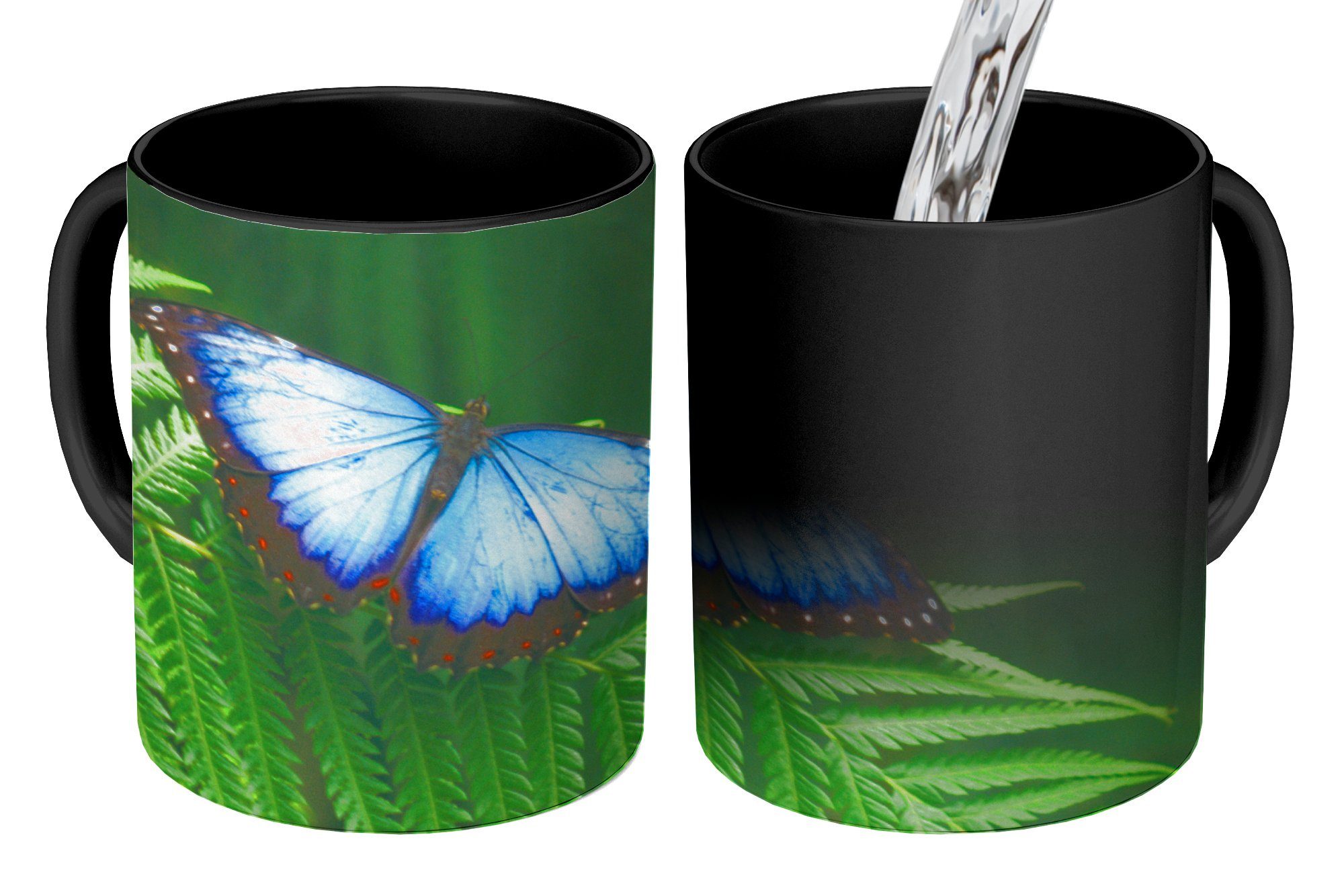 MuchoWow Tasse Geschenk Keramik, Morpho-Schmetterling, Teetasse, Farbwechsel, Zaubertasse, Kaffeetassen