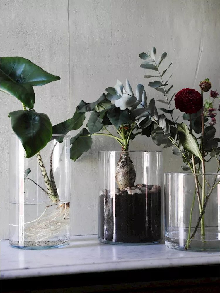 CreaFlor Home Dekovase Basic Collection, Maschinenglas günstig online kaufen