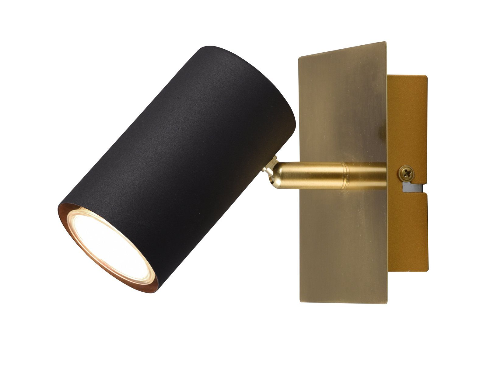TRIO Leuchten LED Wandstrahler, Dimmfunktion, LED günstig online kaufen