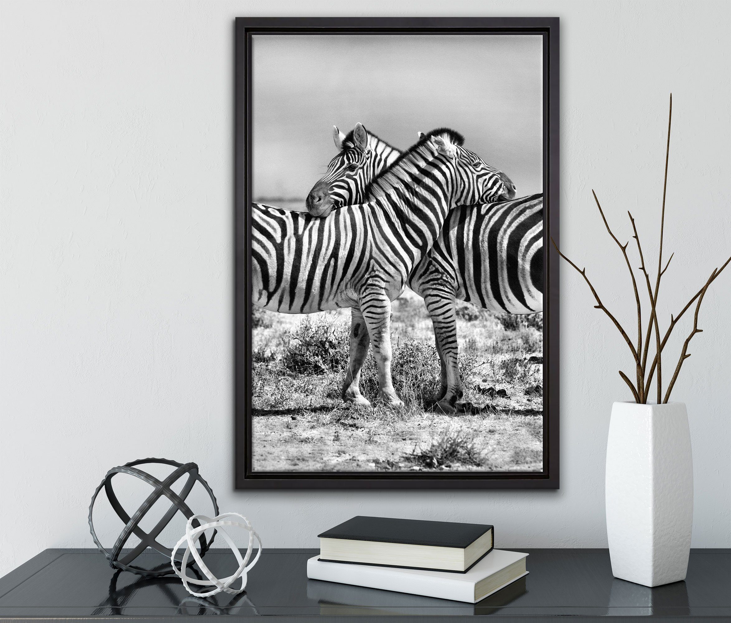 Schmusende (1 Pixxprint Zackenaufhänger einem Leinwandbild Leinwandbild inkl. gefasst, Zebras, St), Wanddekoration Schattenfugen-Bilderrahmen in bespannt, fertig