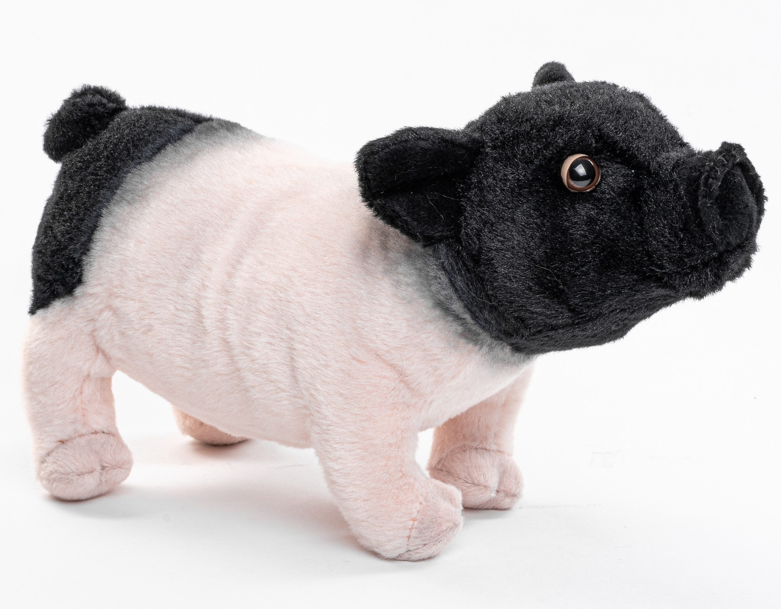 Uni-Toys Kuscheltier Schwäbisch-H. Landschwein - 28 cm - Plüsch-Schwein, Ferkel, Plüschtier, zu 100 % recyceltes Füllmaterial