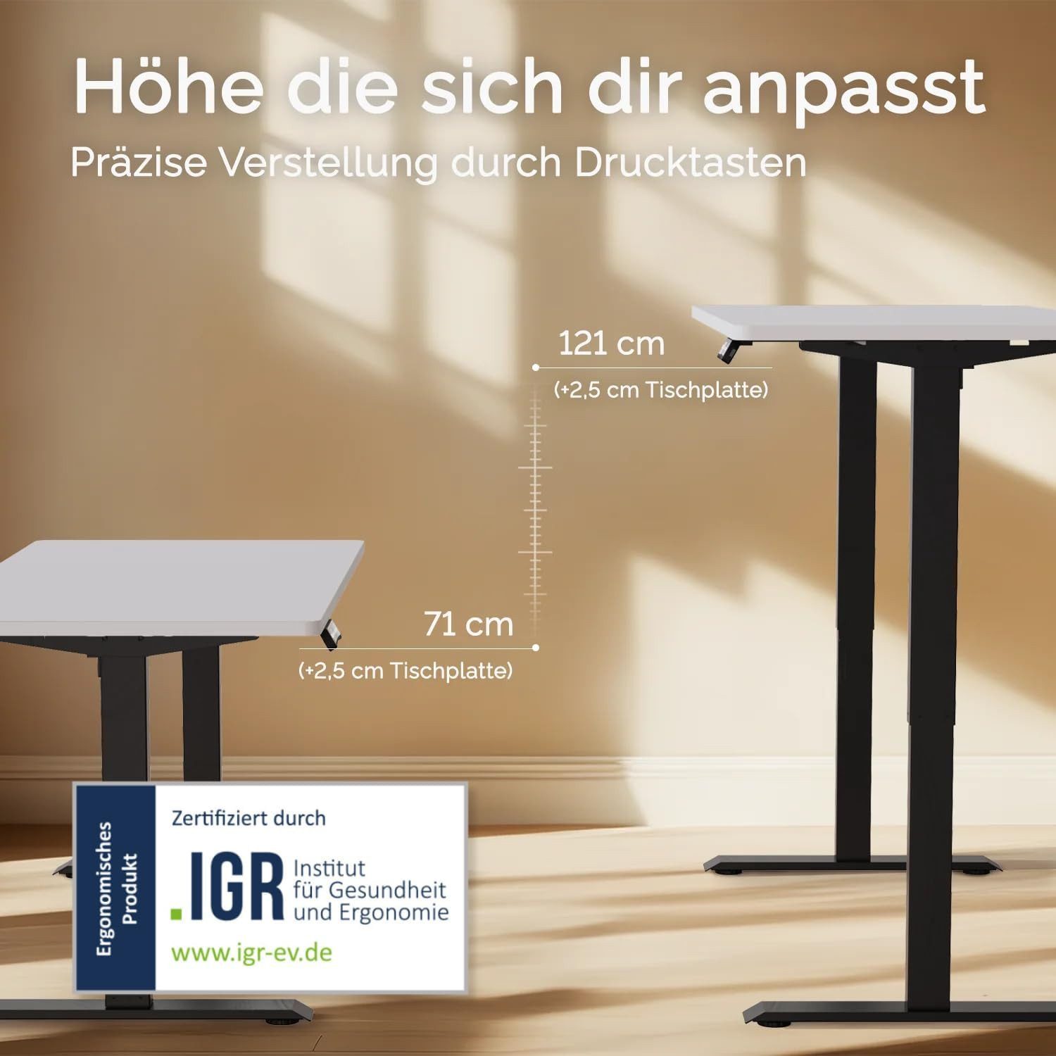 DESKSPACE Schreibtisch Elektrisch höhenverstellbarer Schreibtisch – günstig online kaufen