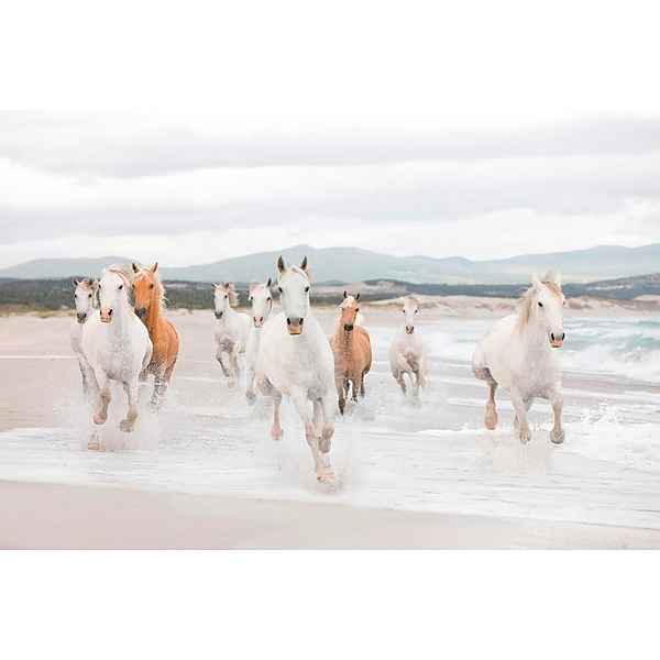 Komar Fototapete »White Horses«, glatt, Meer, bedruckt, (Set), ausgezeichnet lichtbeständig