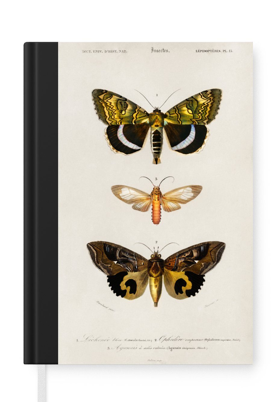 MuchoWow Notizbuch Schmetterling - Vintage - Insekten, Journal, Merkzettel, Tagebuch, Notizheft, A5, 98 Seiten, Haushaltsbuch