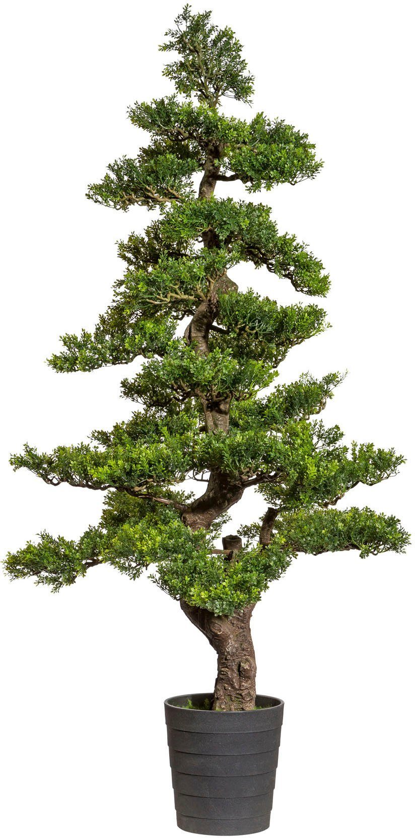 Kunstbonsai Bonsai Teeblatt Bonsai, Creativ green, Höhe 160 cm günstig online kaufen