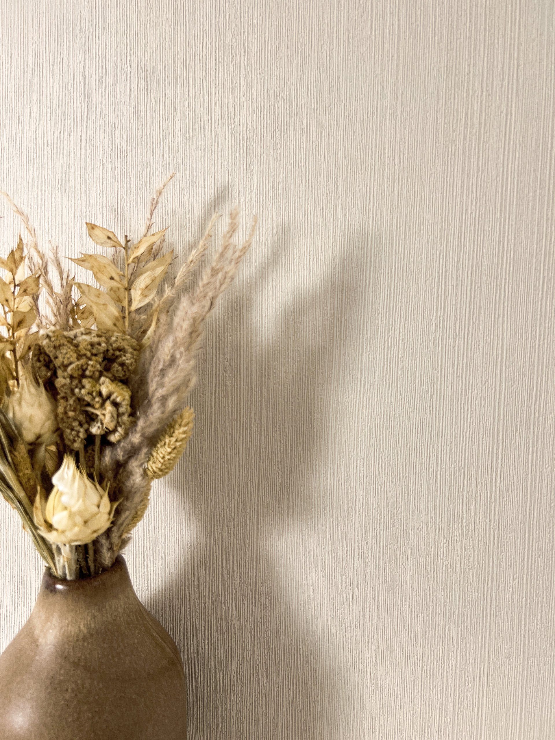 Newroom Vliestapete Raina Uni Beige Tapete Mustertapete Uni, Einfarbig, Struktur, aufgeschäumt, Einfarbig